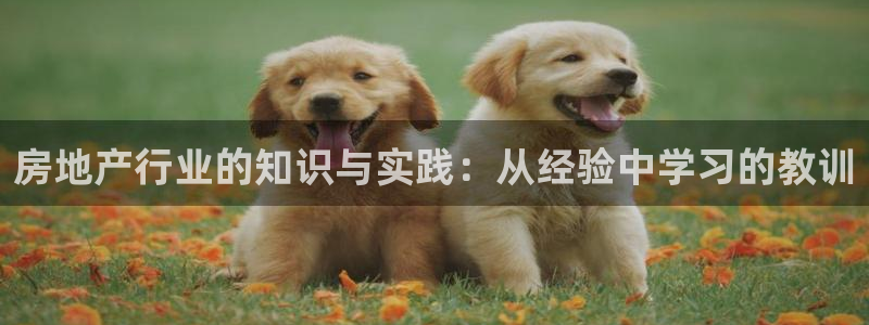 新宝5娱乐代理：房地产行业的知识与实践：从经验中学习的教训