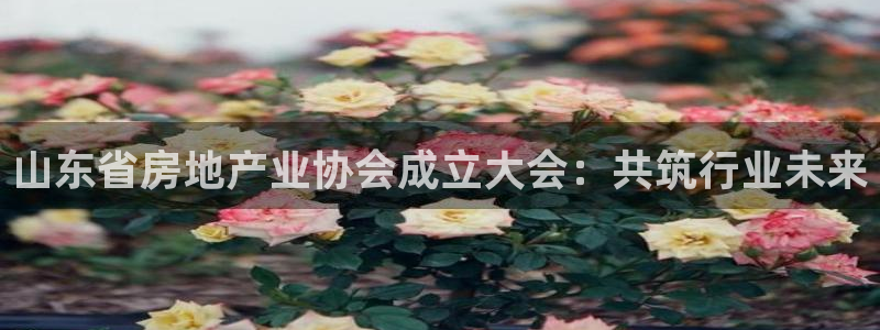 新宝5 测速：山东省房地产业协会成立大会：共筑行业未来