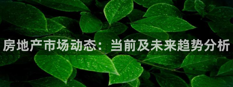 新宝5 代理：房地产市场动态：当前及未来趋势分析