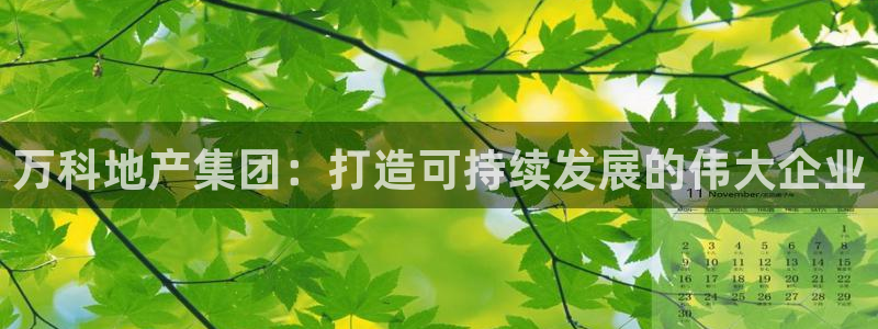 新宝5得74OOO5：万科地产集团：打造可持续发展的伟大企业