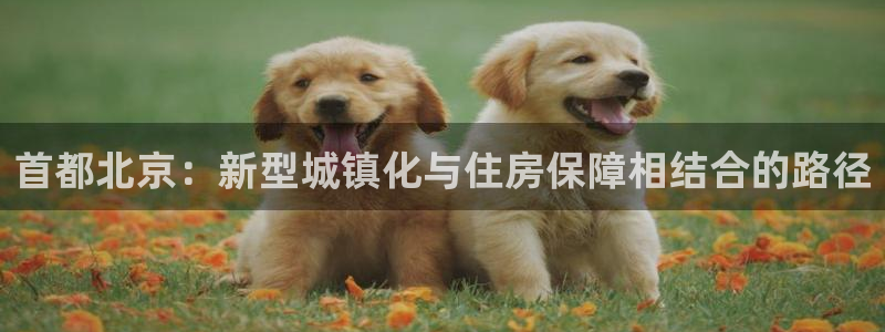 新宝5网址：首都北京：新型城镇化与住房保障相结合的路径