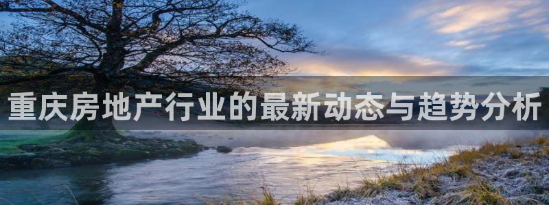 新宝5台卡：重庆房地产行业的最新动态与趋势分析