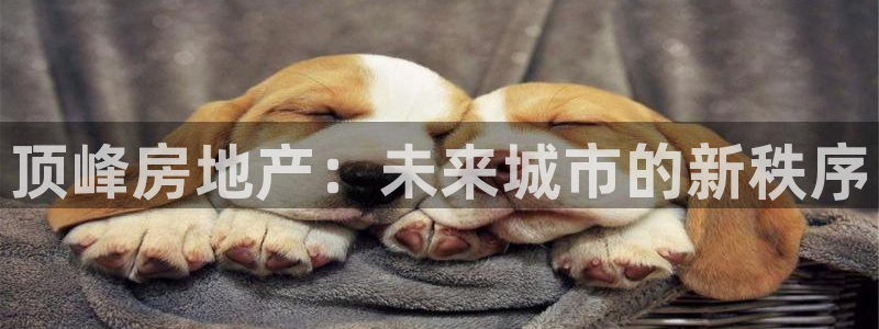 新宝5手机登陆：顶峰房地产：未来城市的新秩序