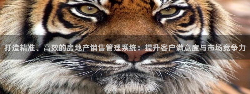 新宝5可靠吗：打造精准、高效的房地产销售管理系统：提升客户满