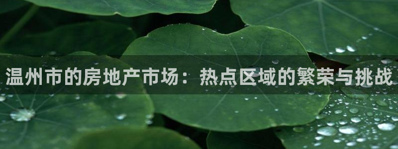 新宝 5测速：温州市的房地产市场：热点区域的繁荣与挑战