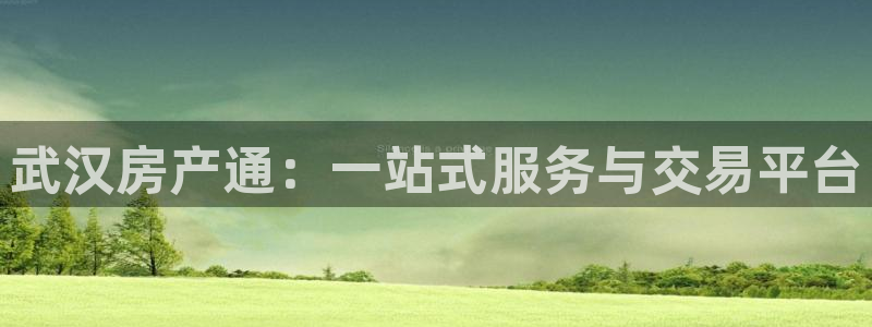 新宝5注册平台：武汉房产通：一站式服务与交易平台