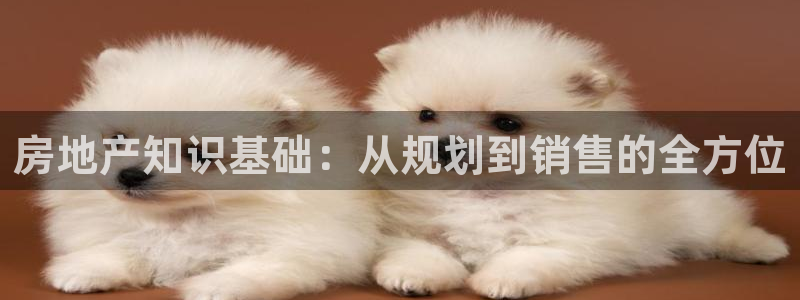 新宝股东张听2 5 5：房地产知识基础：从规划到销售的全方位