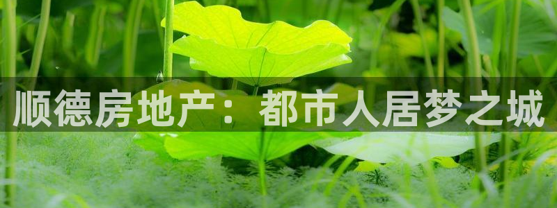 新宝5app：顺德房地产：都市人居梦之城