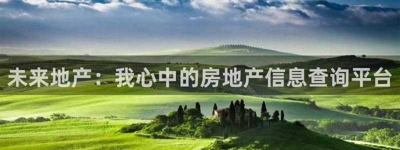 新宝5五：未来地产：我心中的房地产信息查询平台