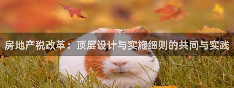 新宝5网址：房地产税改革：顶层设计与实施细则的共同与实践