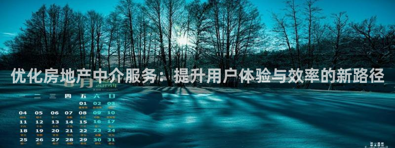 新宝5策略：优化房地产中介服务：提升用户体验与效率的新路径