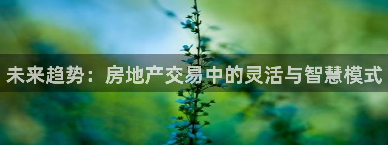 新宝5授权：未来趋势：房地产交易中的灵活与智慧模式