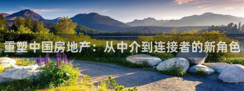 新宝5彩票是正规平台吗：重塑中国房地产：从中介到连接者的新角