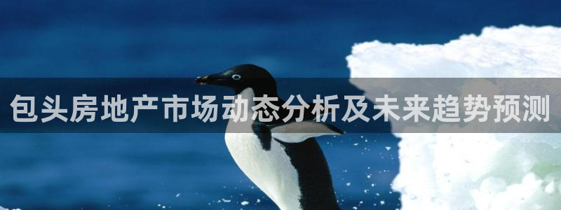 新宝5测速：包头房地产市场动态分析及未来趋势预测