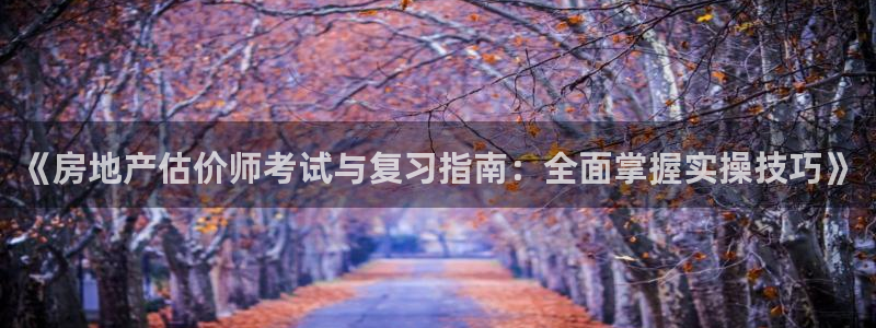 i新宝5：《房地产估价师考试与复习指南：全面掌握实操技巧》
