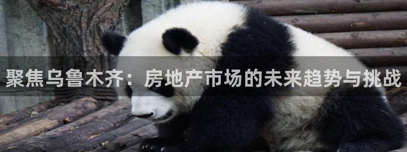 新宝5平台注册：聚焦乌鲁木齐：房地产市场的未来趋势与挑战