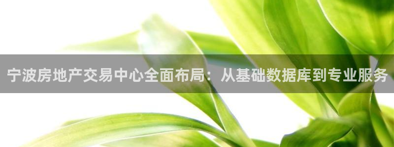 2022新宝骏rs 5：宁波房地产交易中心全面布局：从基础数