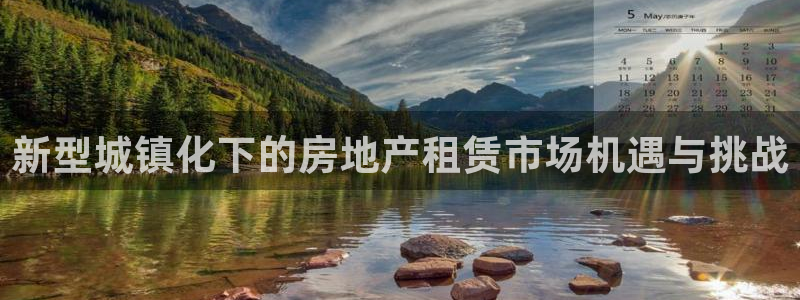 新5宝：新型城镇化下的房地产租赁市场机遇与挑战