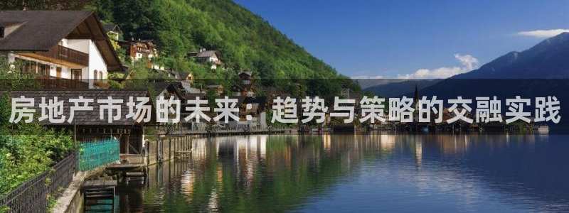 新宝5日740005蔻：房地产市场的未来：趋势与策略的交融实