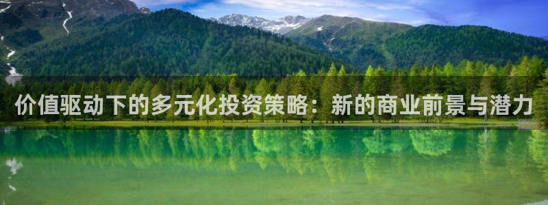 新宝b2O5O5O：价值驱动下的多元化投资策略：新的商业前景