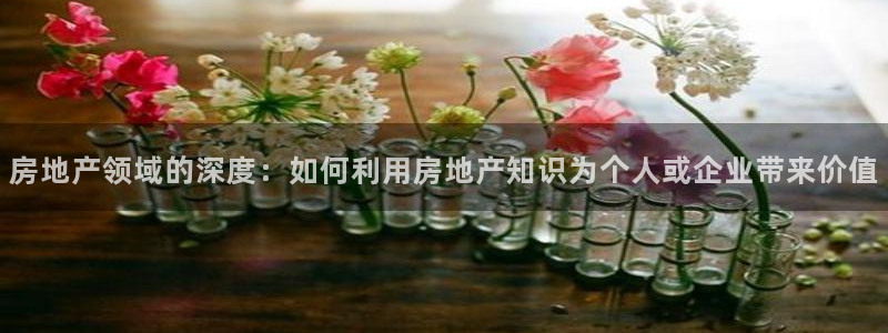 新宝5挂机：房地产领域的深度：如何利用房地产知识为个人或企业