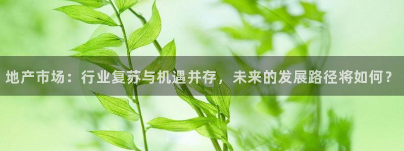 新宝5侹刔：地产市场：行业复苏与机遇并存，未来的发展路径将如