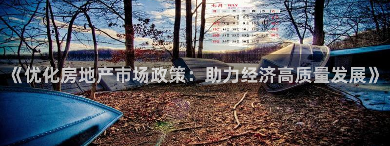 新宝5怎么代理：《优化房地产市场政策：助力经济高质量发展》