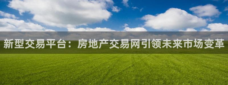 新宝5月：新型交易平台：房地产交易网引领未来市场变革