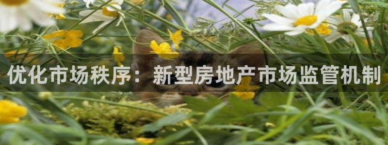 新宝5登陆：优化市场秩序：新型房地产市场监管机制