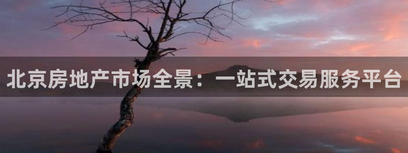 新宝5天：北京房地产市场全景：一站式交易服务平台