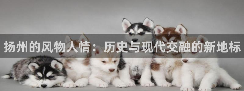 新宝 5测速：扬州的风物人情：历史与现代交融的新地标