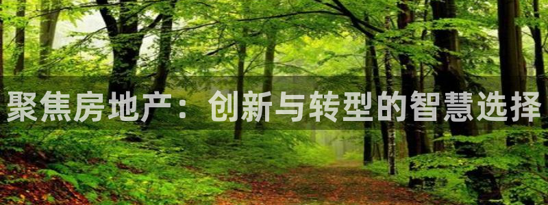 新宝5彩票平台登陆
