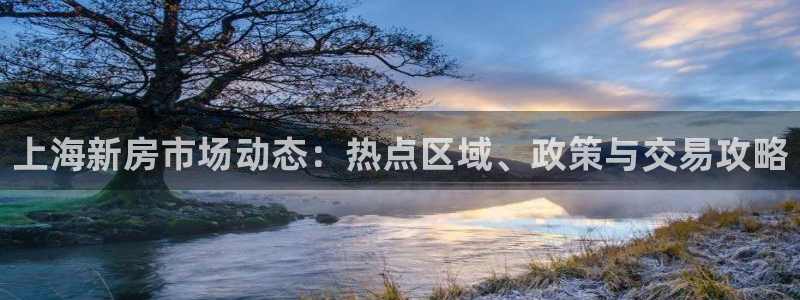 新宝5手机app：上海新房市场动态：热点区域、政策与交易攻略