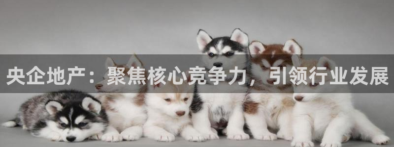 新宝5地址：央企地产：聚焦核心竞争力，引领行业发展