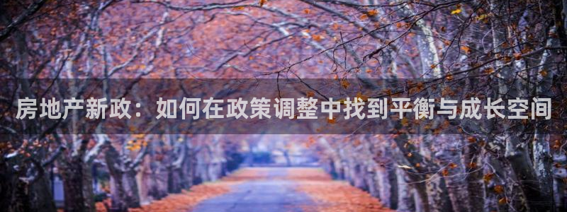 新宝5登录地址：房地产新政：如何在政策调整中找到平衡与成长空