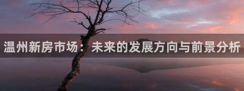 新宝骏rc5W：温州新房市场：未来的发展方向与前景分析