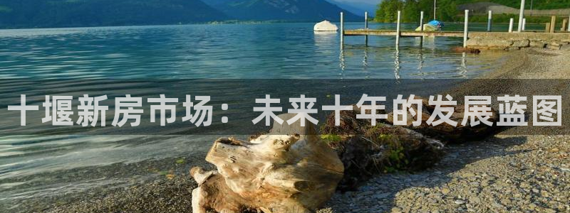 新宝5娱乐家：十堰新房市场：未来十年的发展蓝图