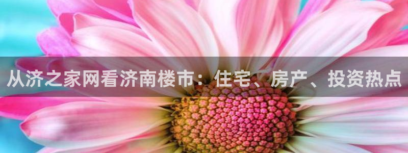 新宝5开户：从济之家网看济南楼市：住宅、房产、投资热点