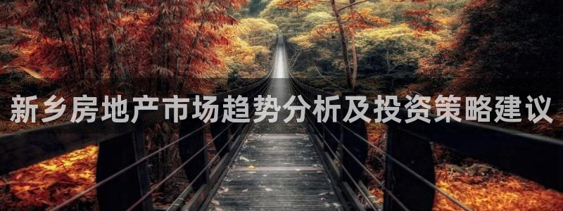 新宝5-测速：新乡房地产市场趋势分析及投资策略建议