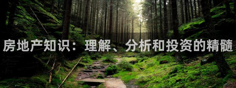 新宝5什么时候上市：房地产知识：理解、分析和投资的精髓