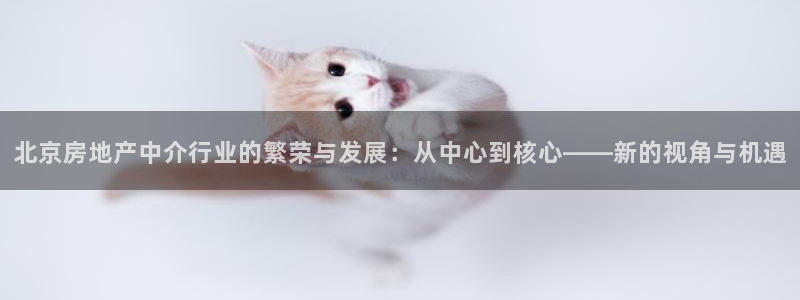 新宝5挂机：北京房地产中介行业的繁荣与发展：从中心到核心——