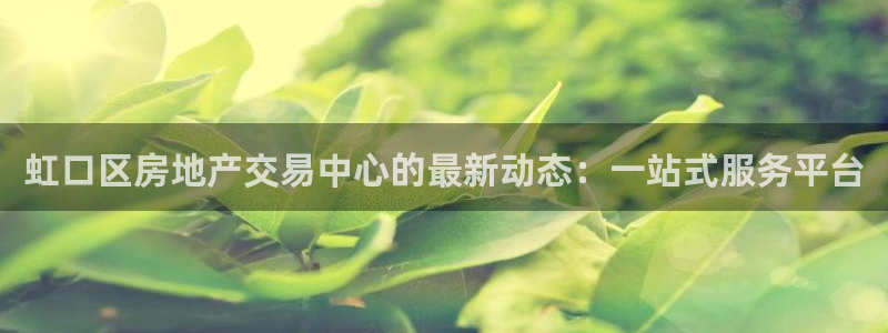 新宝j2O5O5O：虹口区房地产交易中心的最新动态：一站式服