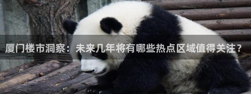 新宝5首页：厦门楼市洞察：未来几年将有哪些热点区域值得关注？
