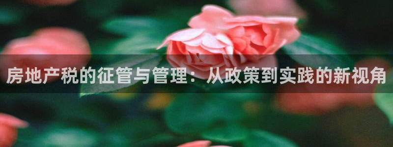 新宝5现在还能玩吗：房地产税的征管与管理：从政策到实践的新视