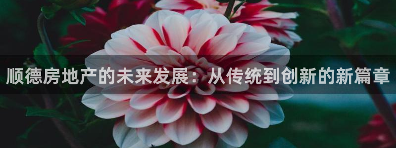 菲律宾新宝5老板：顺德房地产的未来发展：从传统到创新的新篇章