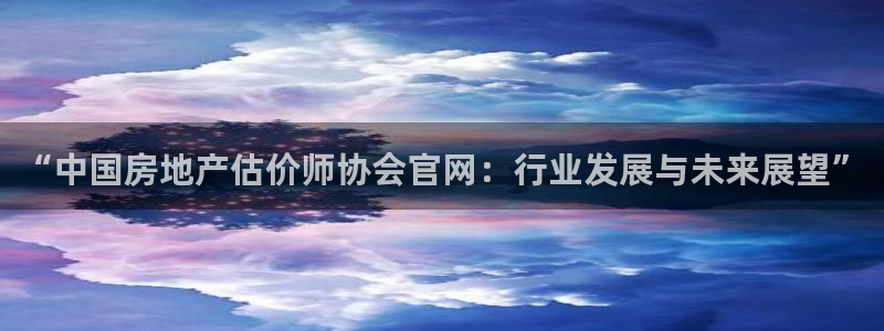 新宝股东张听2 5 5：“中国房地产估价师协会官网：行业发展