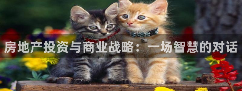 菲律宾新宝5老板：房地产投资与商业战略：一场智慧的对话