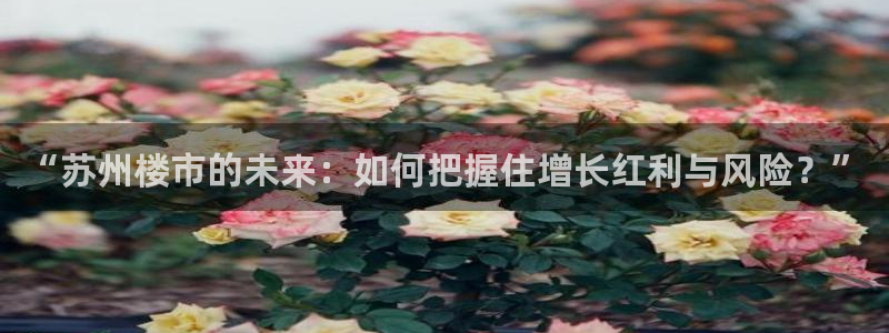 新宝5登陆：“苏州楼市的未来：如何把握住增长红利与风险？”