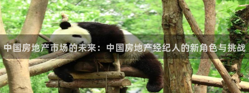 新宝5地址：中国房地产市场的未来：中国房地产经纪人的新角色与