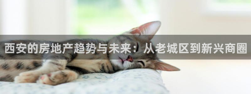 新宝5侹刔：西安的房地产趋势与未来：从老城区到新兴商圈